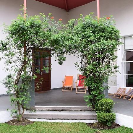 La Casa De Las Magnolias Hotell Coyoacan Exteriör bild