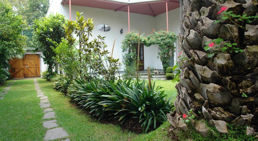 La Casa De Las Magnolias Hotell Coyoacan Exteriör bild