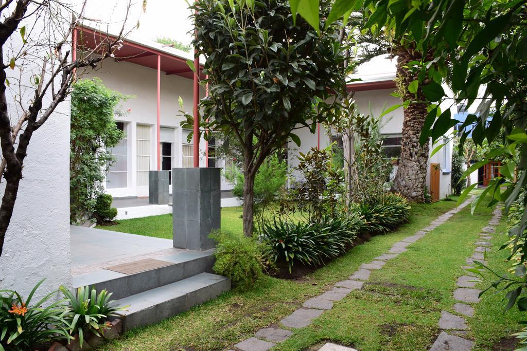 La Casa De Las Magnolias Hotell Coyoacan Exteriör bild