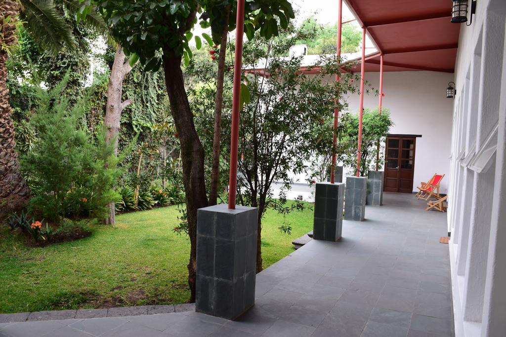 La Casa De Las Magnolias Hotell Coyoacan Exteriör bild