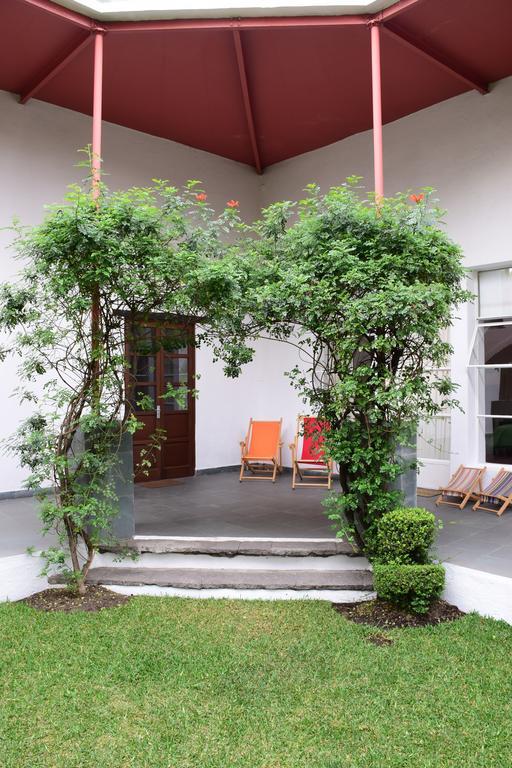La Casa De Las Magnolias Hotell Coyoacan Exteriör bild