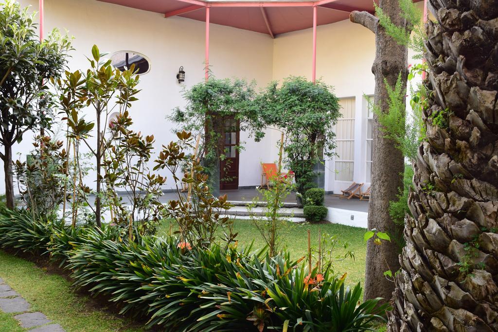 La Casa De Las Magnolias Hotell Coyoacan Exteriör bild