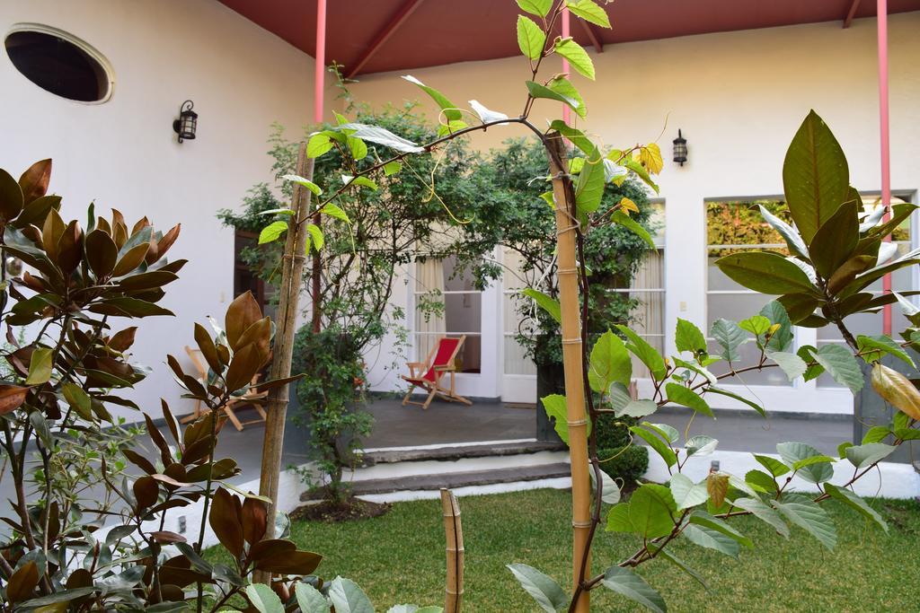 La Casa De Las Magnolias Hotell Coyoacan Exteriör bild