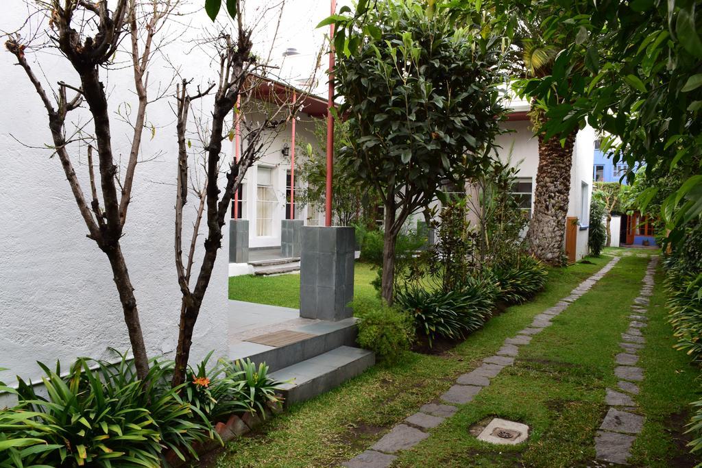 La Casa De Las Magnolias Hotell Coyoacan Exteriör bild
